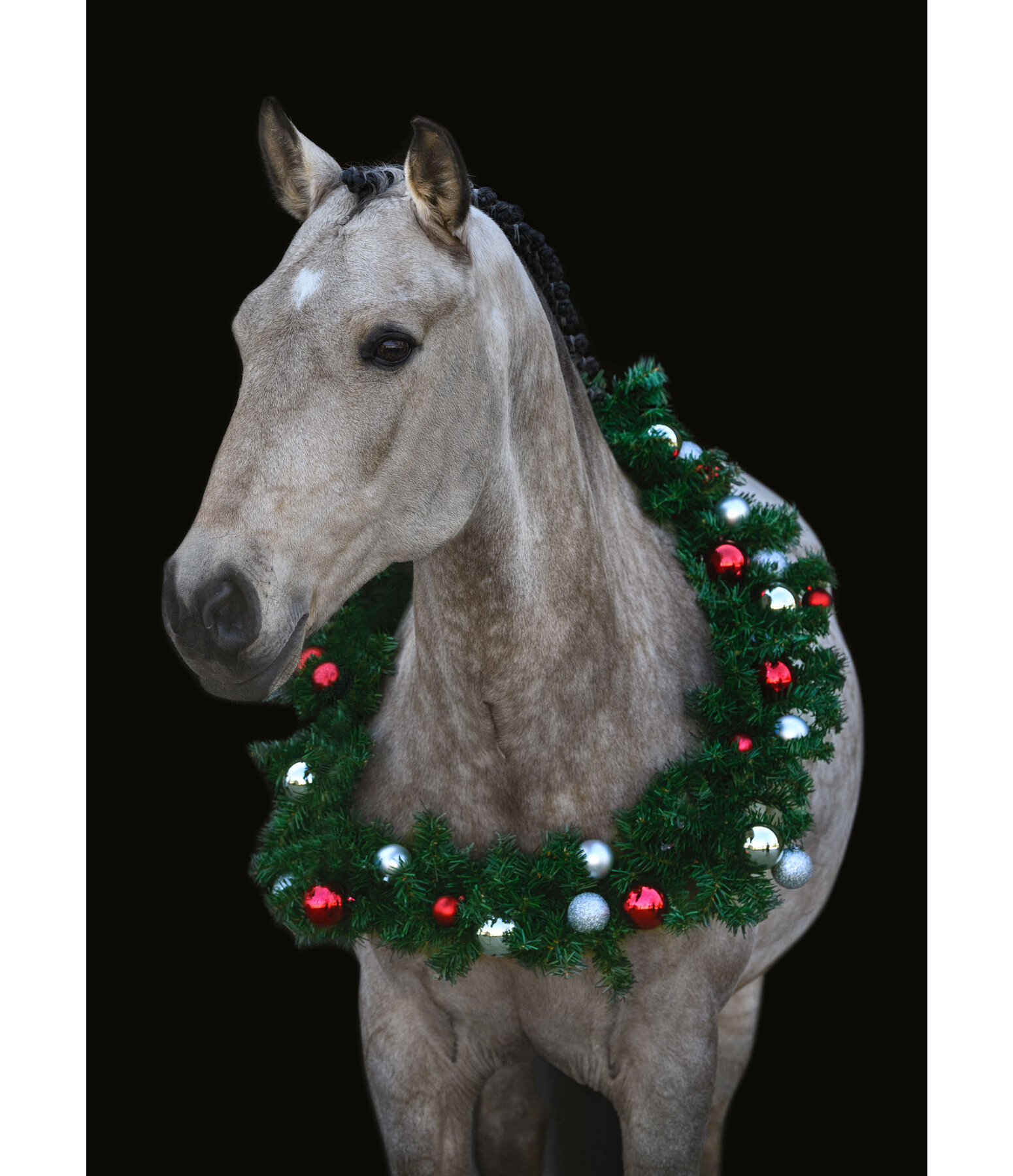 SH Christmas Collection Pferde-Weihnachtskranz Pro