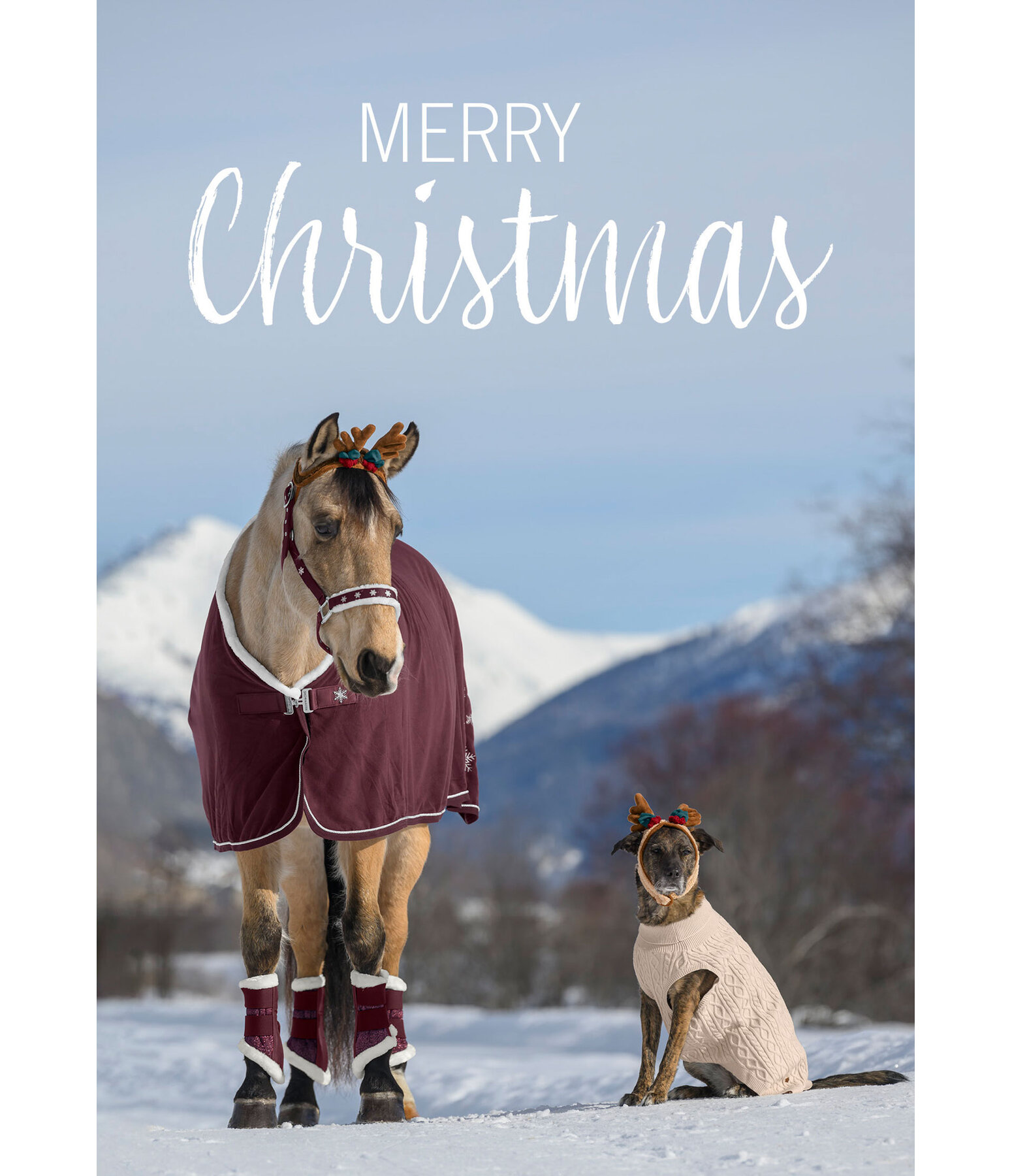 Grukarte Merry Christmas