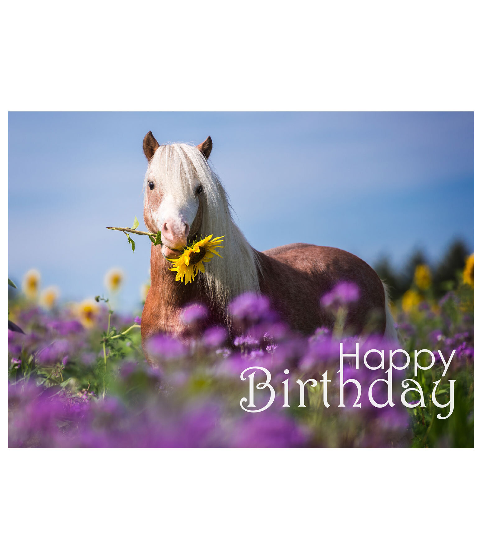 Grukarte Happy Birthday II