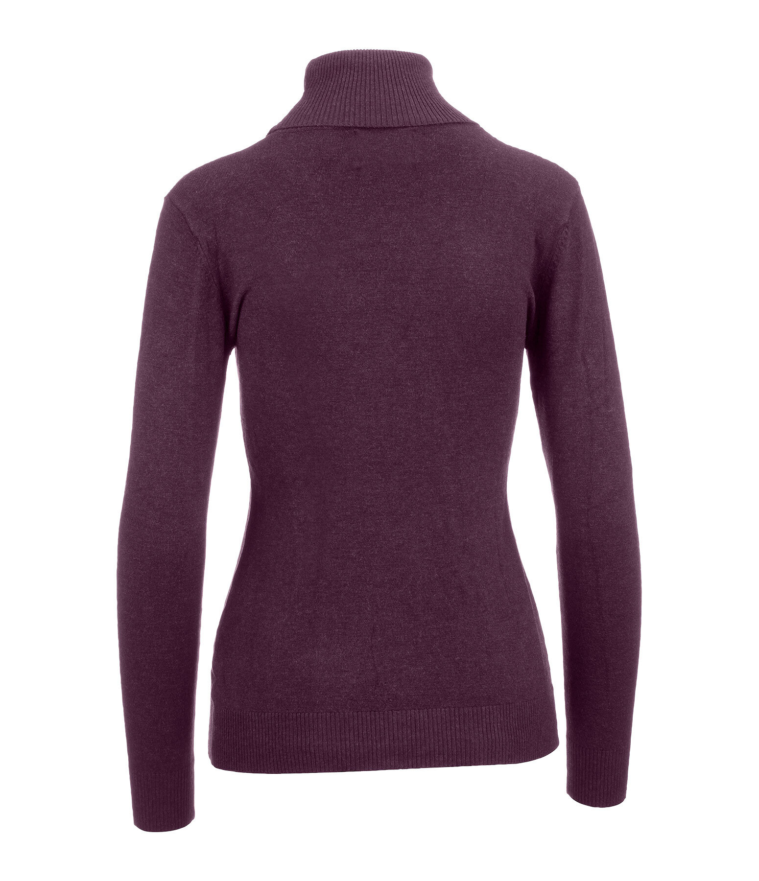 Rollkragen-Pullover Janne II