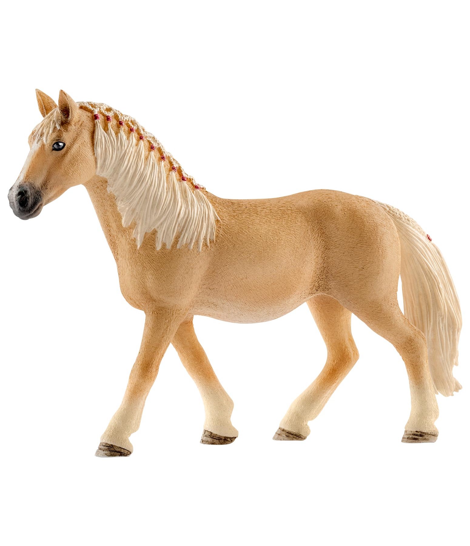 Haflinger Stute II