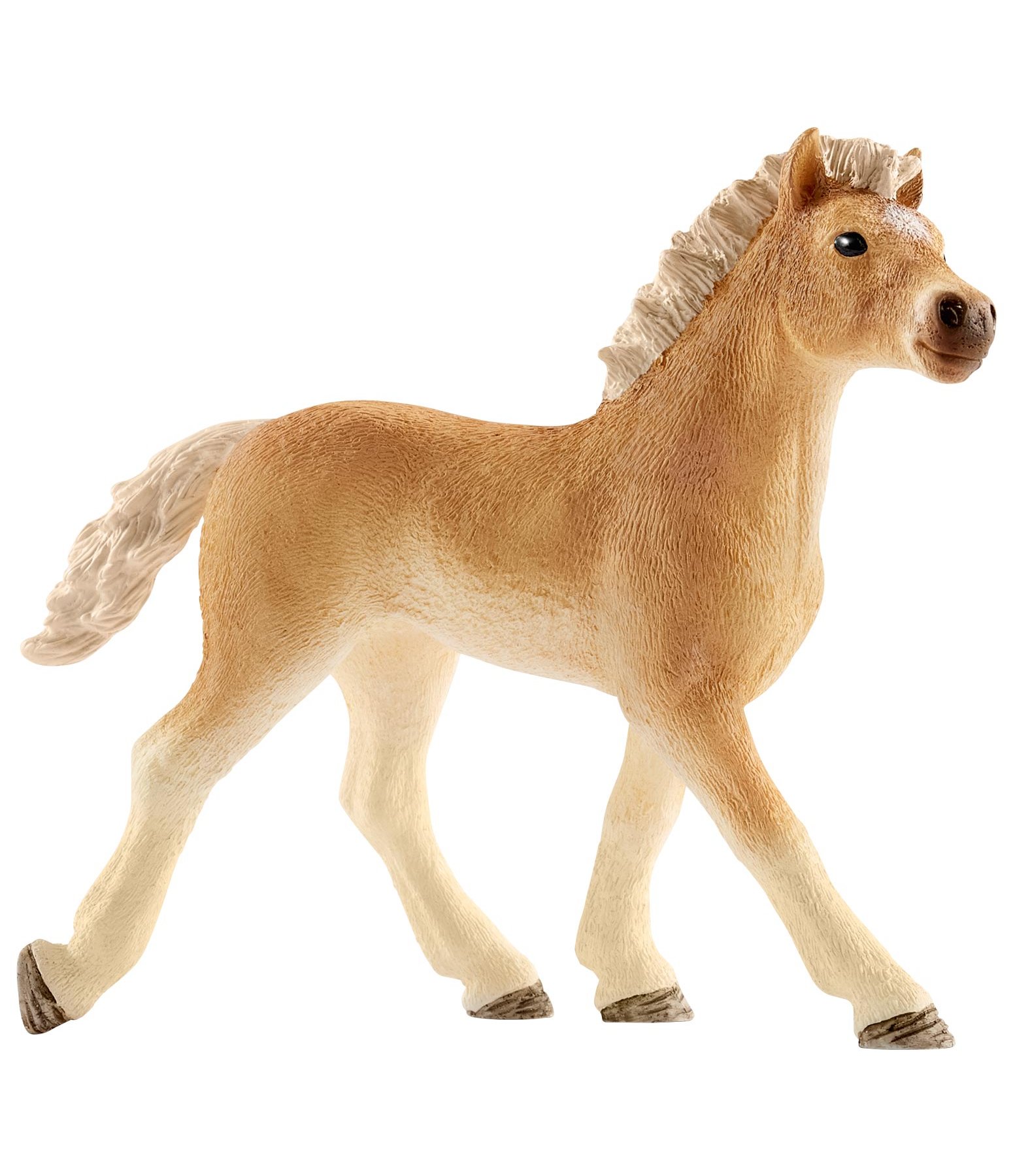 Haflinger Fohlen II