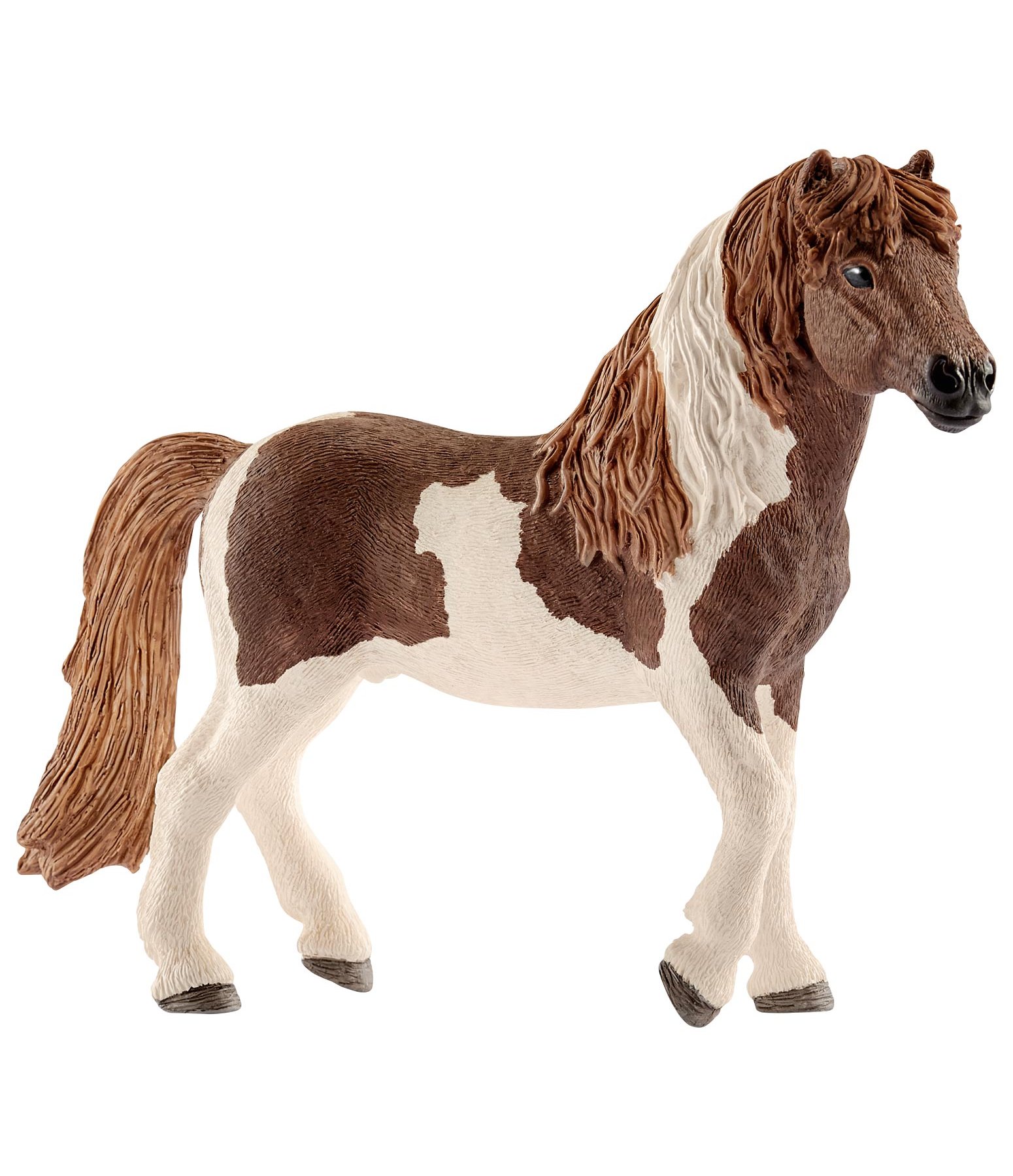 Island Pony Hengst II