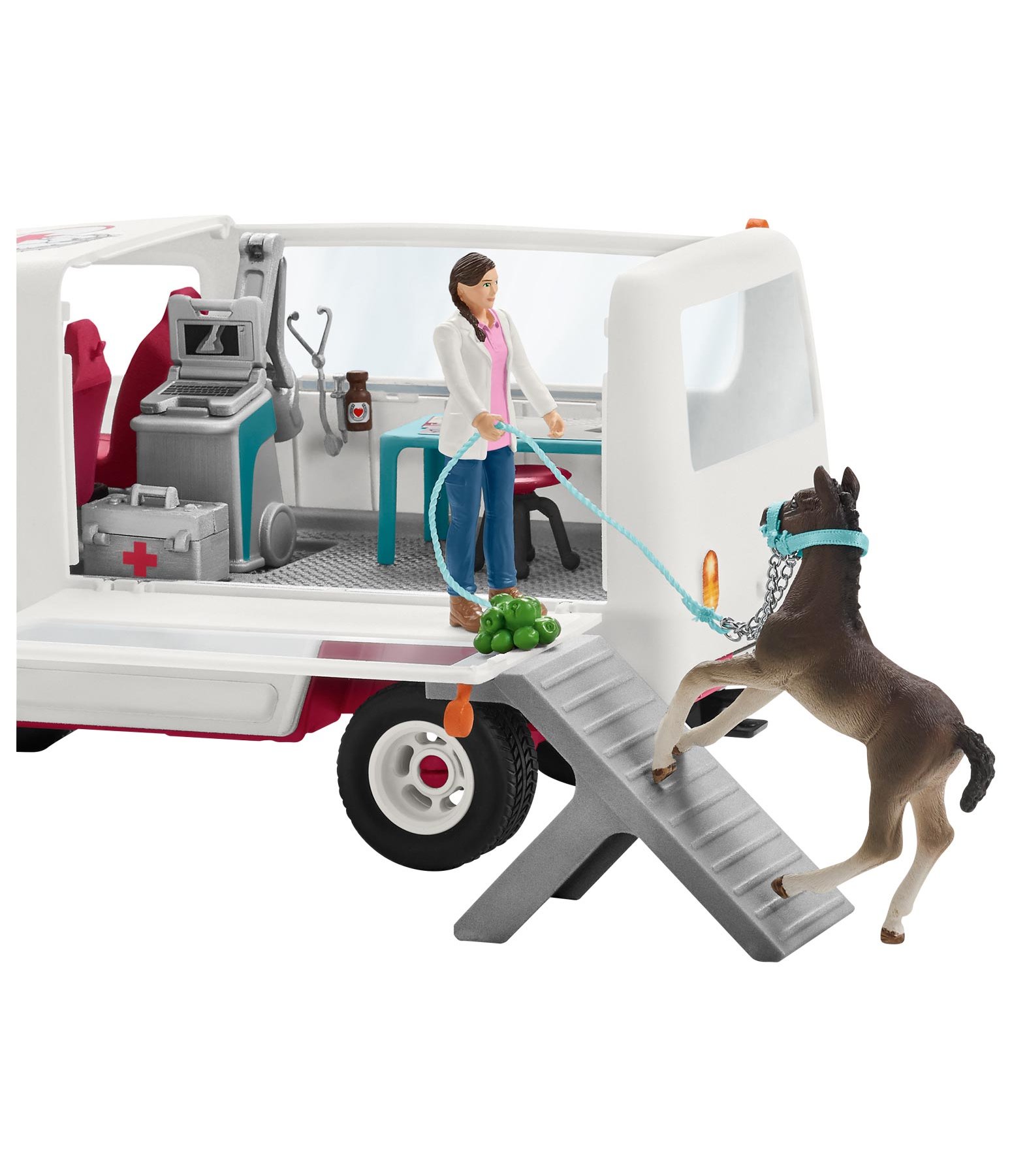 Mobile Tierärztin