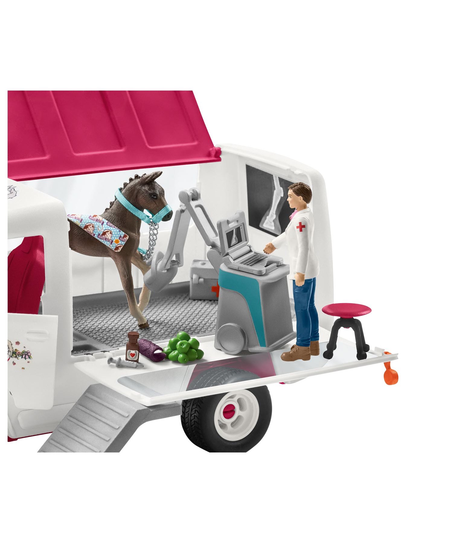 Mobile Tierärztin