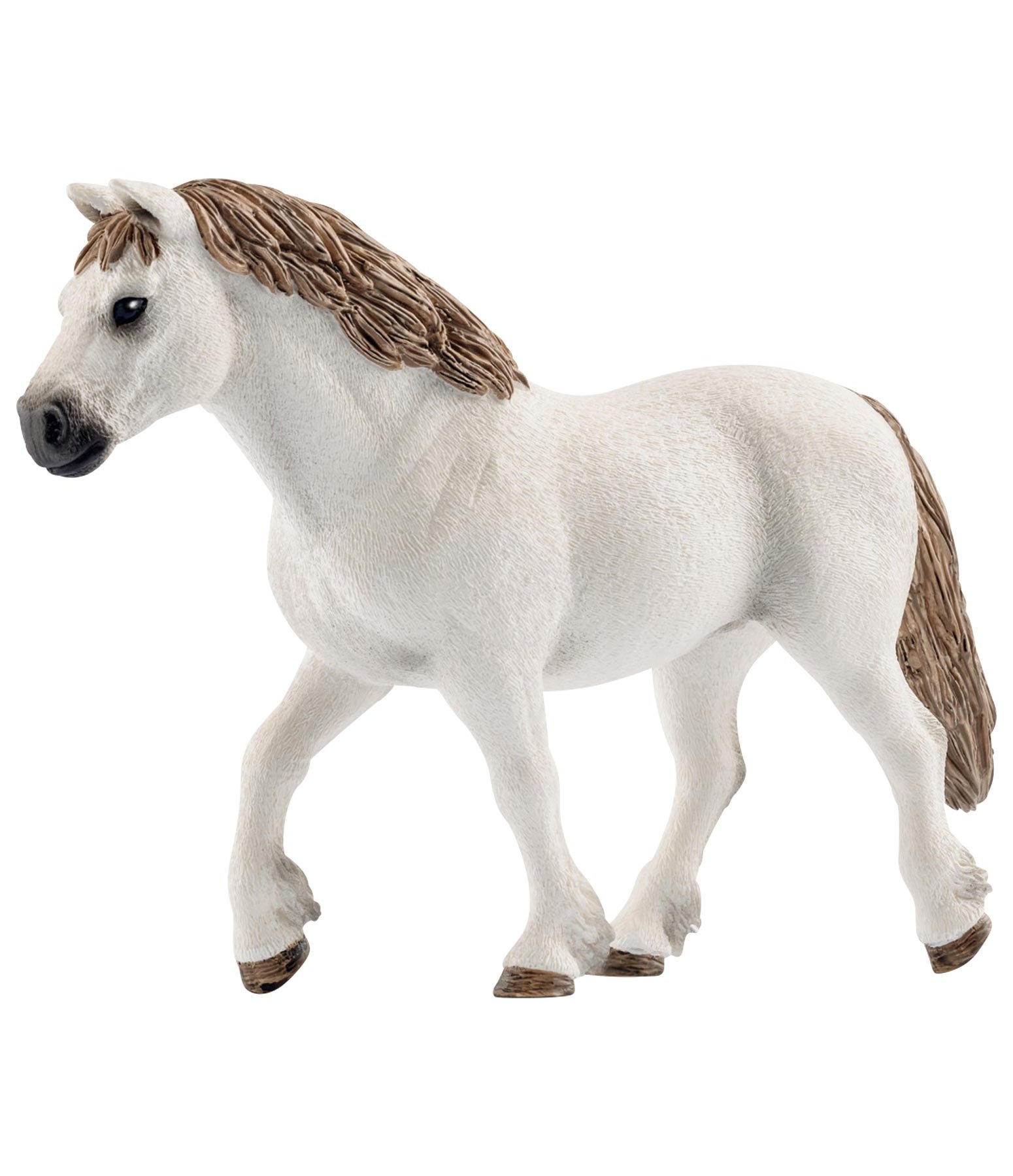 Welsh Pony Stute