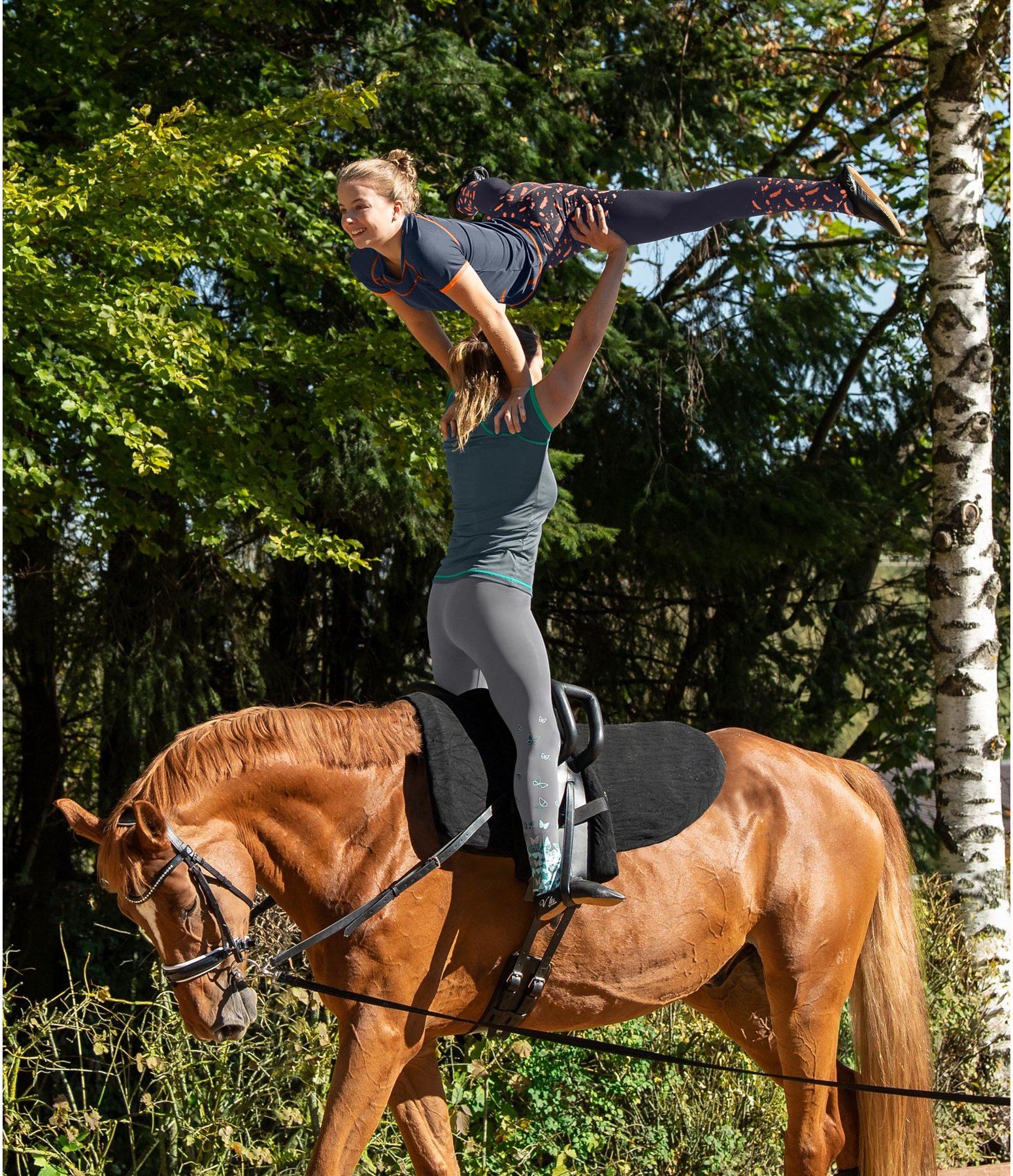 Voltigierhose Comfy Damen