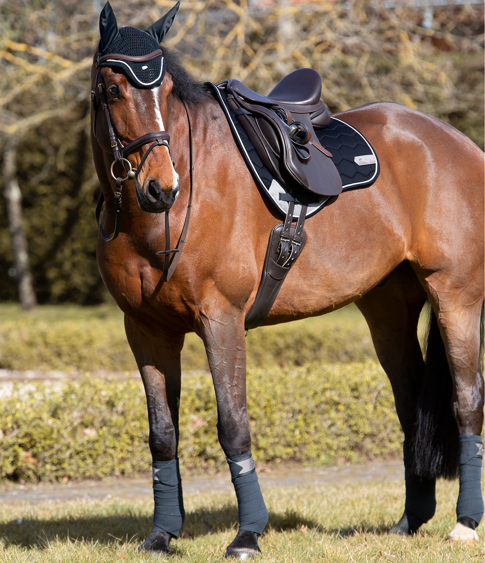 SHOWMASTER Basic in navy