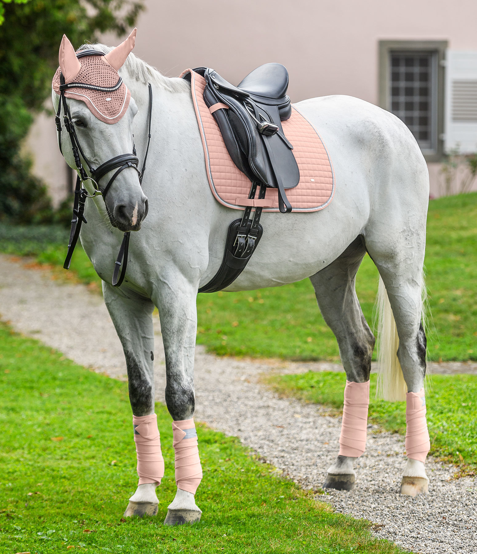 SHOWMASTER Basic in Nude