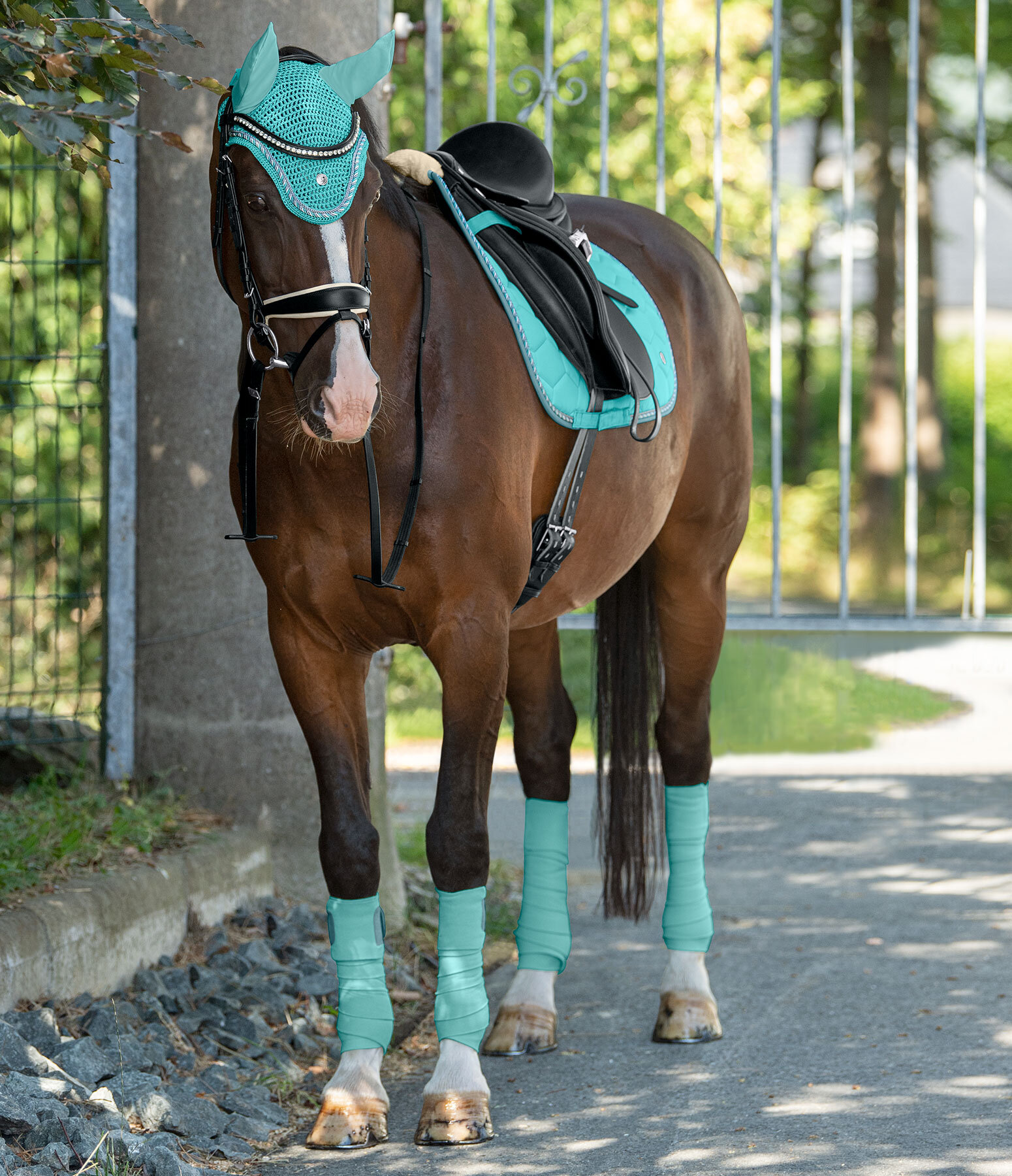 Outfit Felix Bhler Coin in aqua