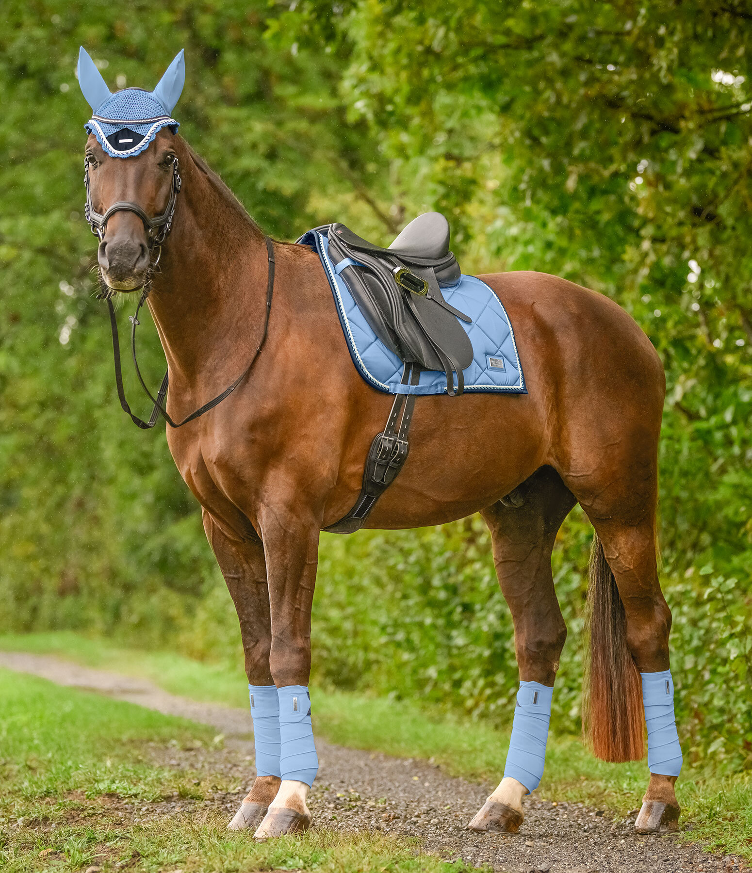 Outfit Felix Bühler Swiss Design in skyblue Krämer Pferdesport