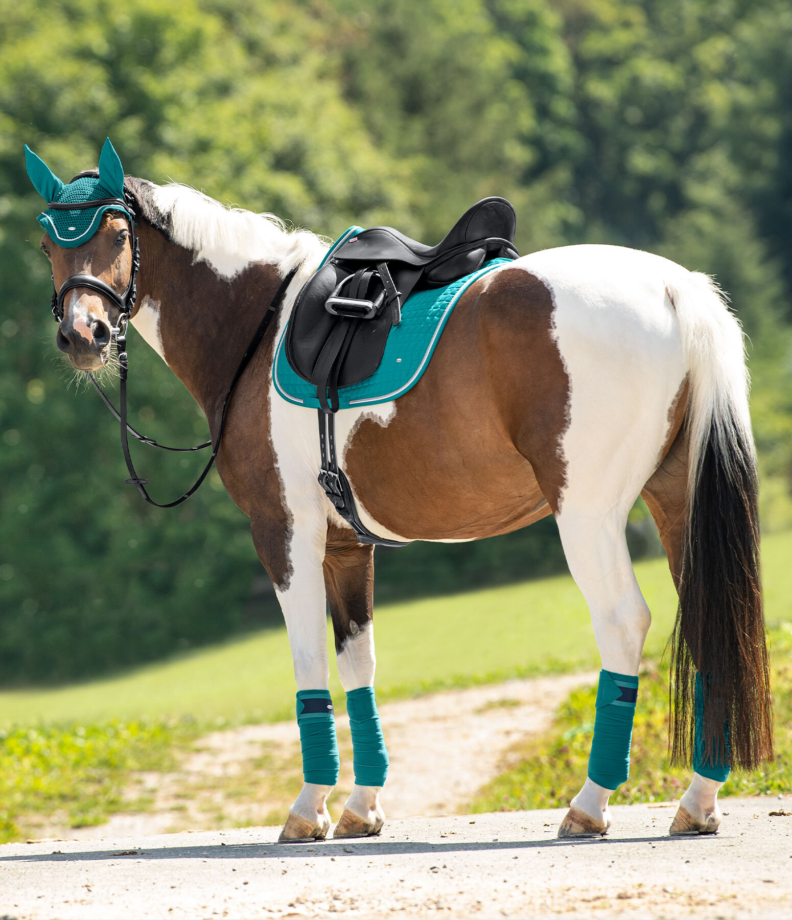 Outfit Showmaster Basic Deluxe in atlantic-green