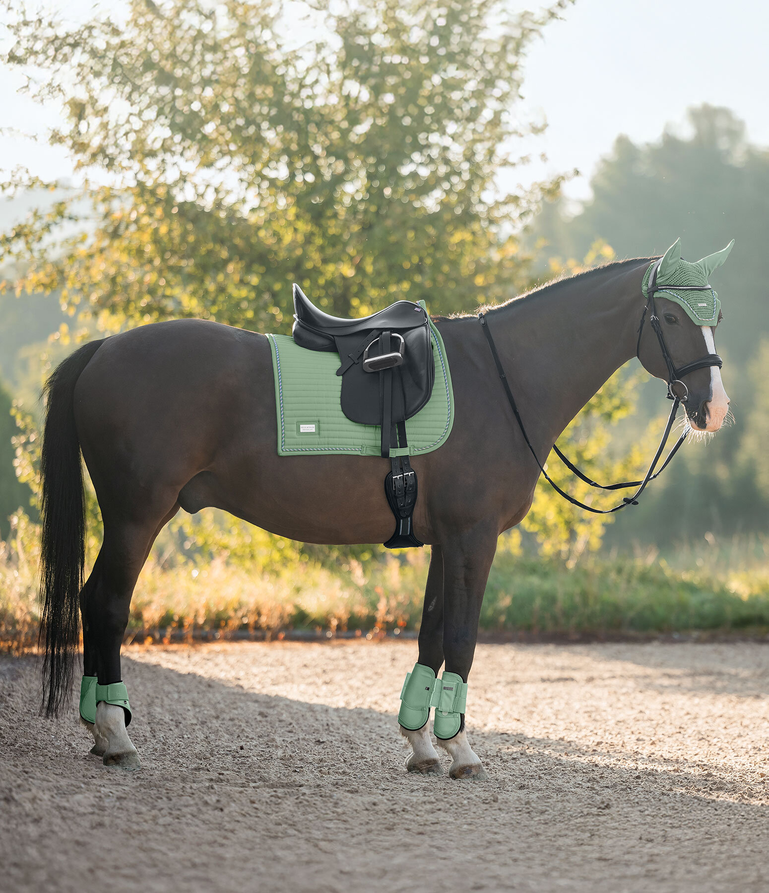 Outfit Sophistication Regular in aloe vera