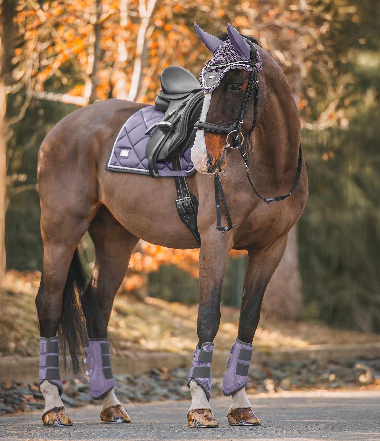 Outfit Swiss Design in purple