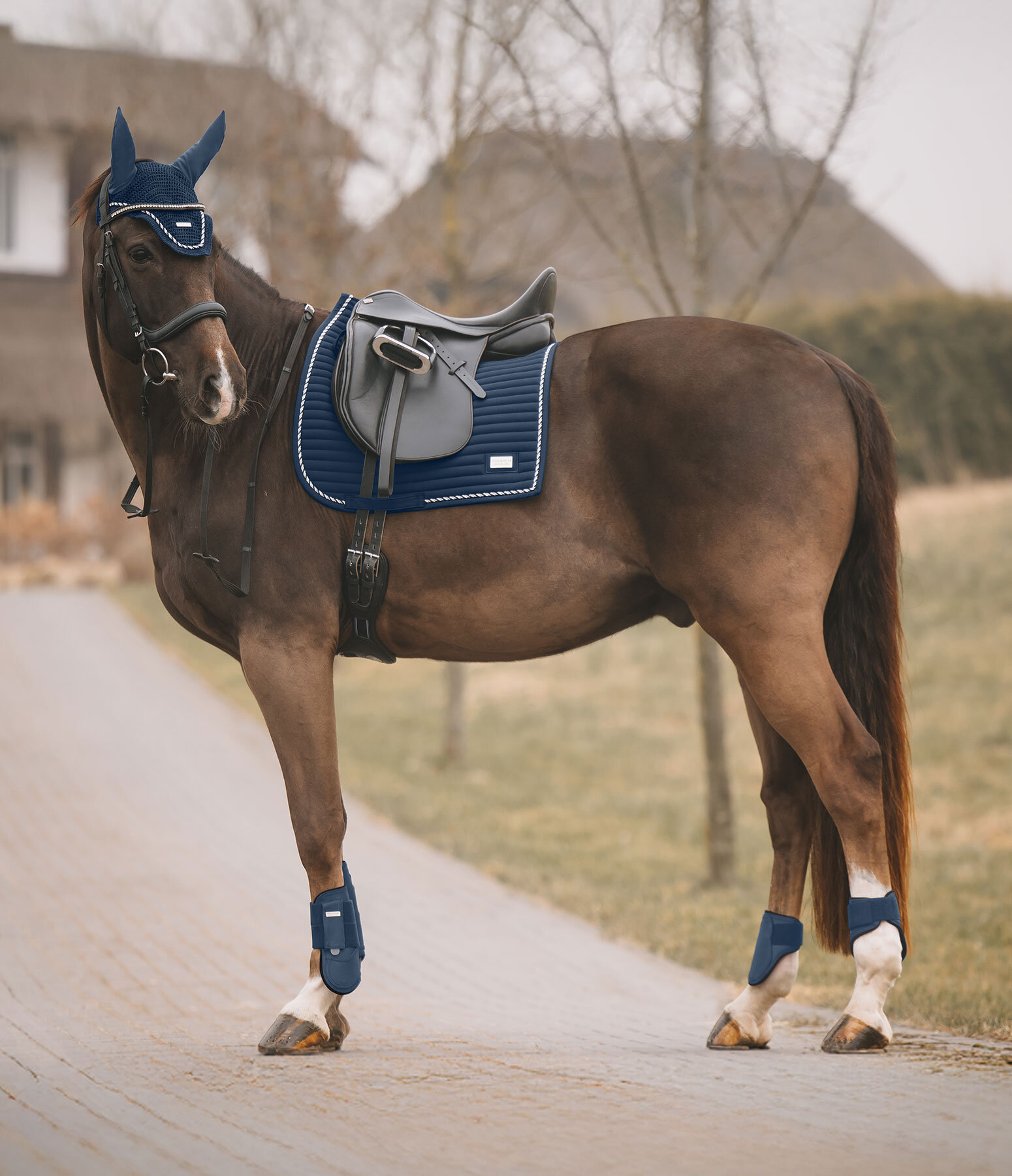 Outfit Sophistication Regular  in navy