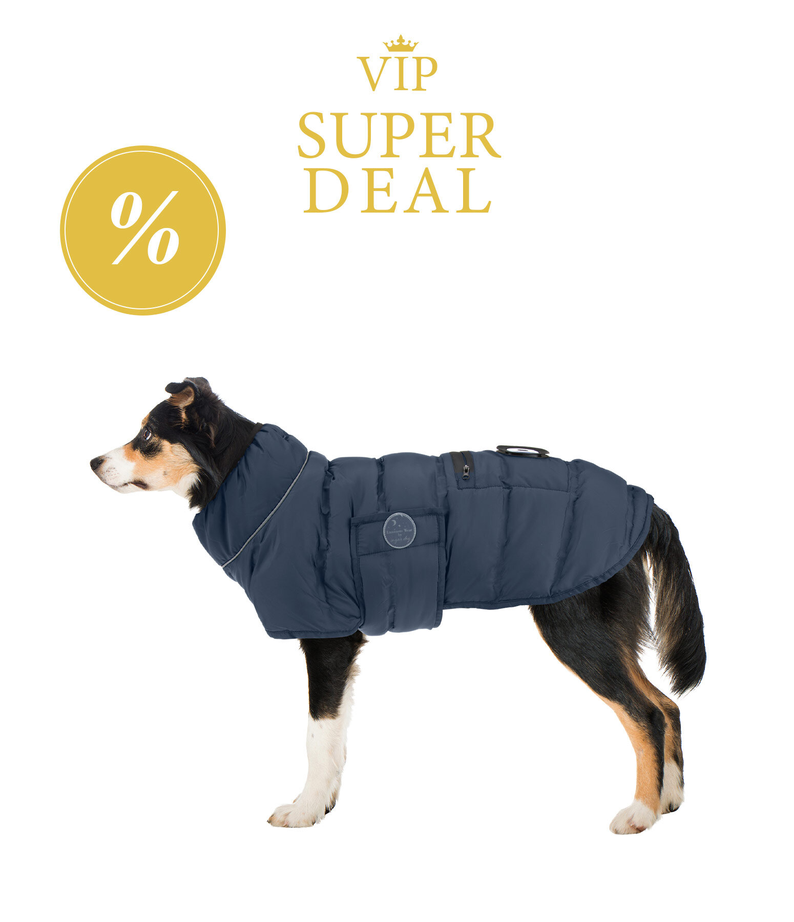 sugar dog LED-Hunde-Steppjacke Arlo, 300 g