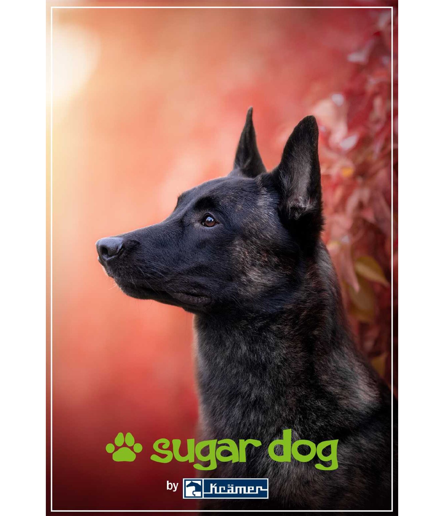 Geschenkgutschein zum Ausdrucken