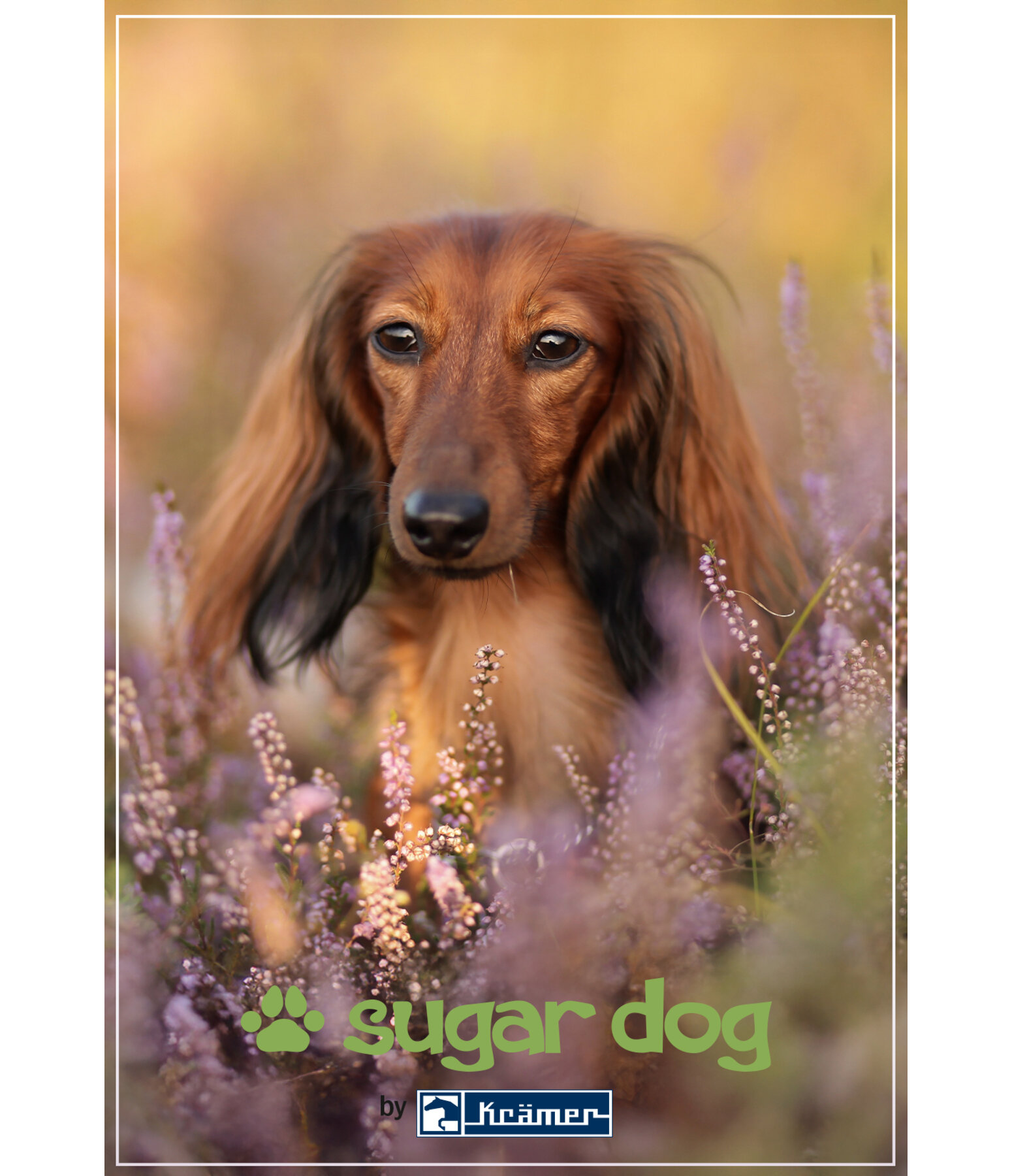 Geschenkgutschein zum Ausdrucken