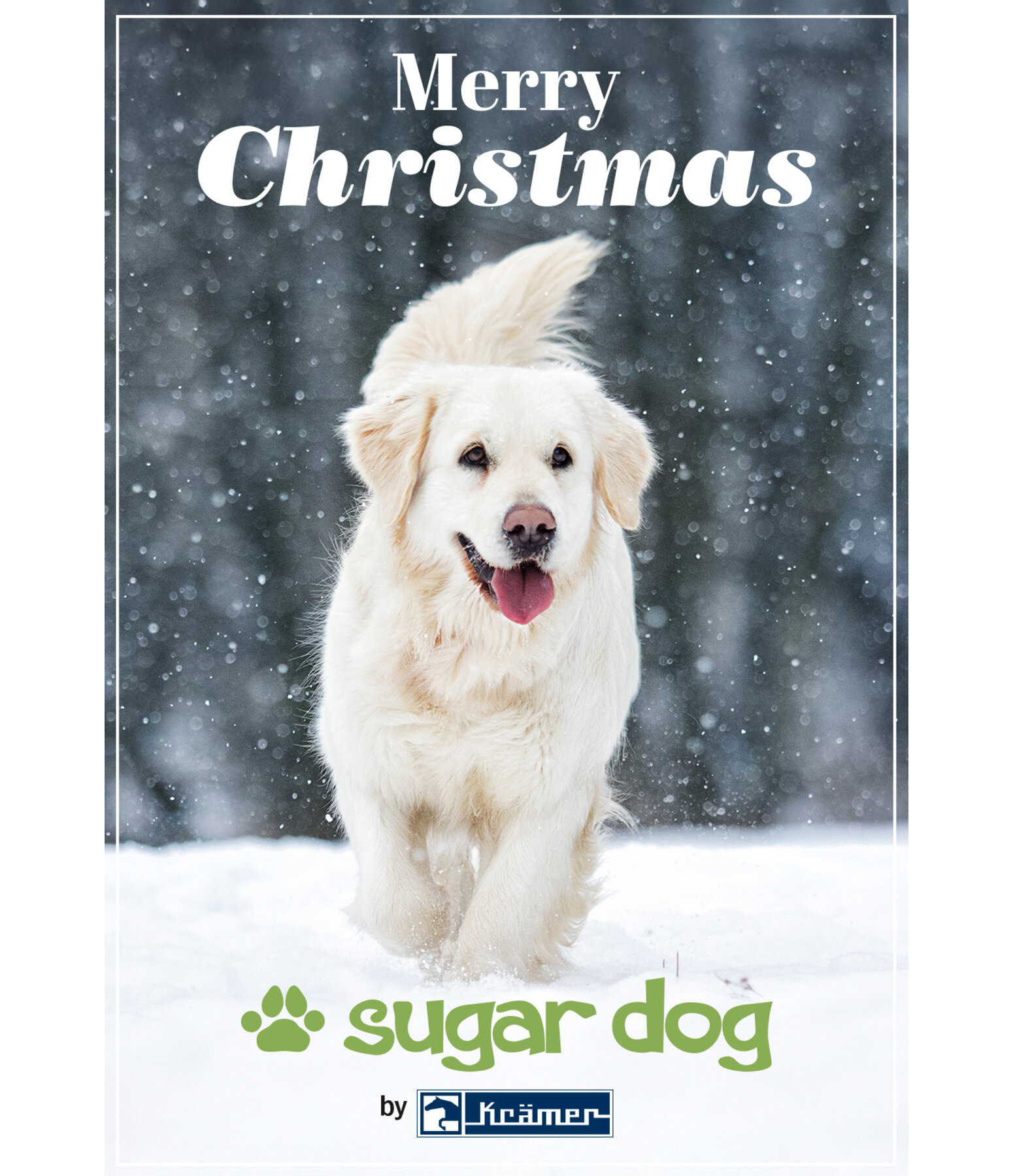 Geschenkgutschein zum Ausdrucken