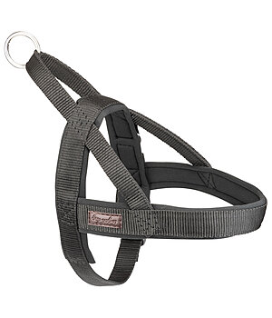sugar dog Norweger-Hundegeschirr Miley - 231131-M-S