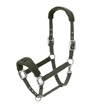 Felix B�hler Teddy Halfter - 310082-F-O