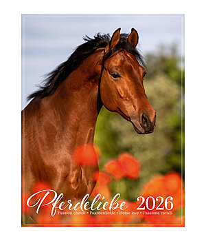 Equino Media Pferdeliebe Kalender 2026 - 390004