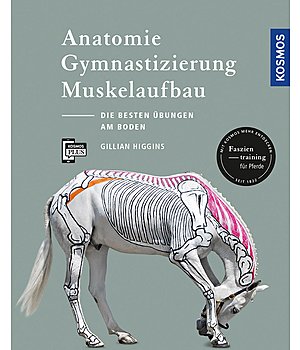 Gillian Higgins Anatomie, Gymnastizierung, Muskelaufbau - 402192