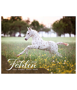 Equino Media Fohlen Kalender 2026 - 402255