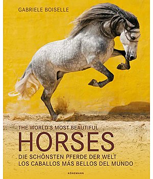 Gabriele Boiselle The world's most beautiful Horses /  Die schnsten Pferde der Welt - 402404