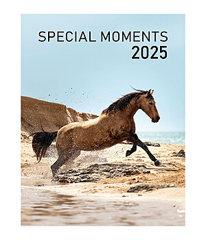Krämer Pferdesport Kalender 2022