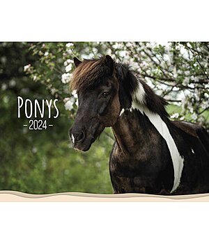 Ponyliebe Fotografie Pony Kalender 2023 - 402538