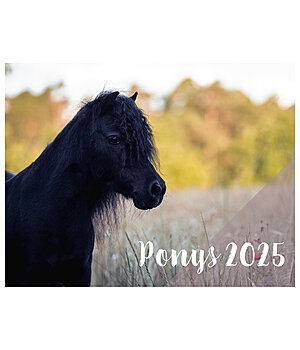 Ponyliebe Fotografie Pony Kalender 2025 - 402538