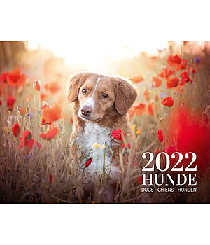 Hunde Kalender 2022 - 402539