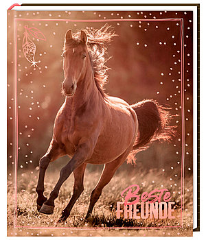 Krämer I LOVE HORSES - Beste Freunde Freundebuch - 403245