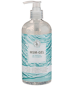 SHOWMASTER MSM-Gel - 432259-500