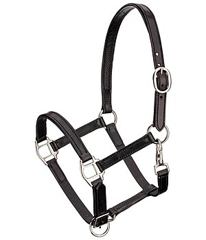 claridge house halfter aus leder kaufen kramer pferdesport