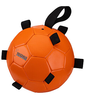 Maximus Fun Play Ball - 450828--OR