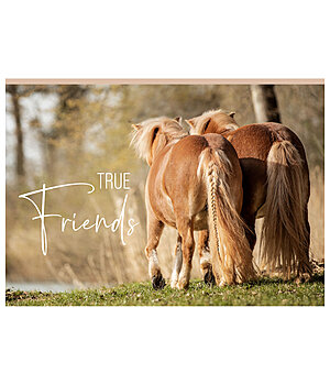 SHOWMASTER Grußkarte True Friends - 621811