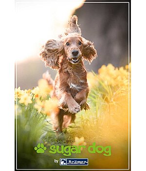 Krmer Geschenkgutschein zum Ausdrucken - GUTZA113-5W