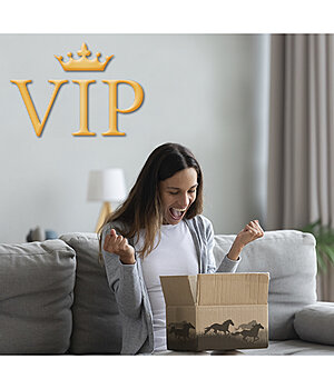 VIP Verlängerung bezahlen - PAY_VIP