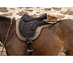 Echtleder Cantle Bag Sierra Nevada