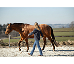 Horsemanship Stick Profi