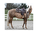 Showblanket Taos