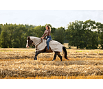 Western-Fliegen-Ausreitdecke mit einrollbarem Halsteil