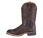 Herren-Boots Clayton