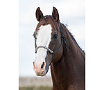 Knotenloses Halfter Bonny