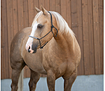 Knotenloses Halfter Bonny