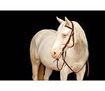 Arbeitskopfst�ck Buckle End