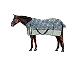 Regendecke Billy