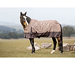 Regendecke Billy